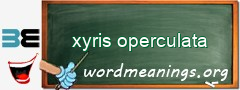 WordMeaning blackboard for xyris operculata